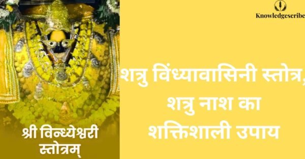 शत्रु विंध्यावासिनी स्तोत्र: शत्रु नाश का शक्तिशाली उपाय